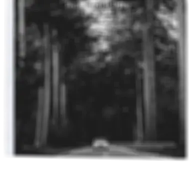 Sunt in culpa qui officia